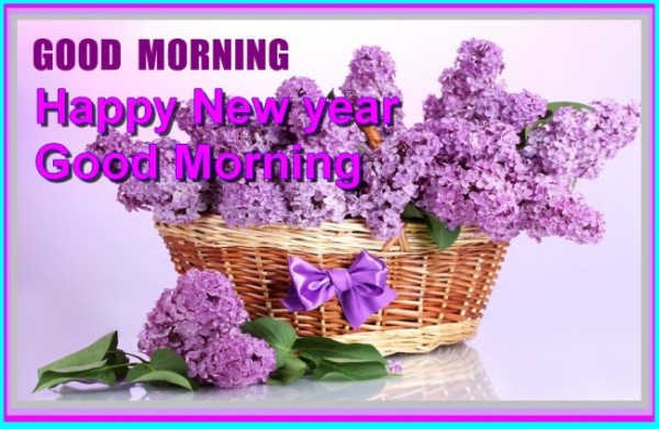 Good Morning - Happy New Year !-wg16181