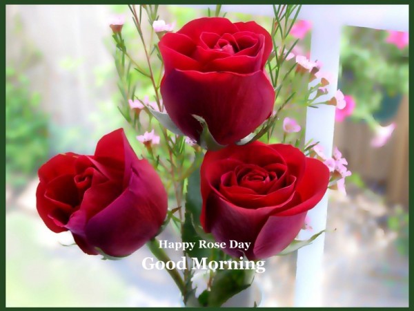 Good Morning - Happy Rose Day-wg16182