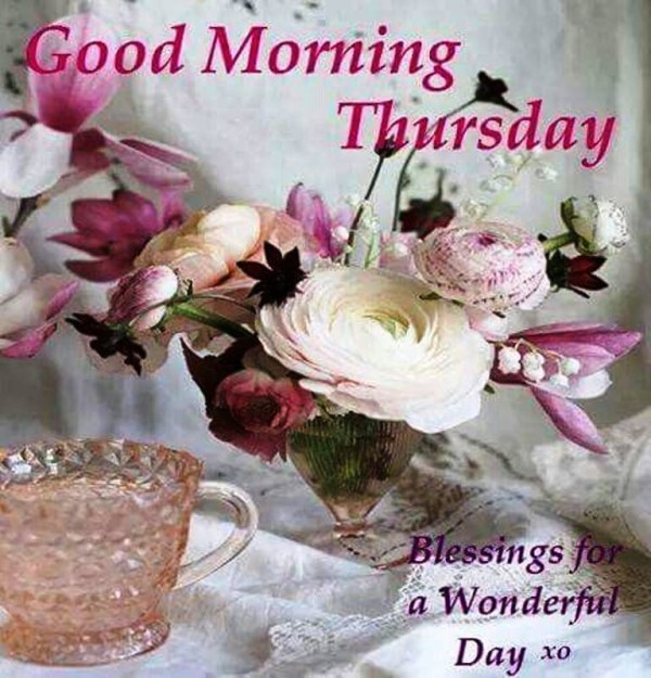 Good Morning -Happy Thursday-wg023175