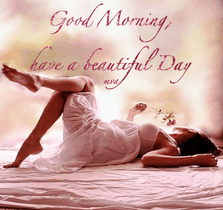 Good Morning Have A Beautiful Day !-wg0180675