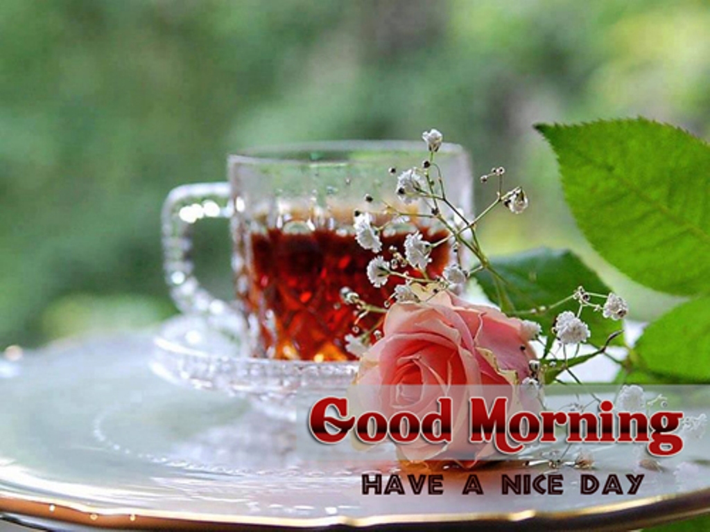 Good Morning – Have A Nice Day