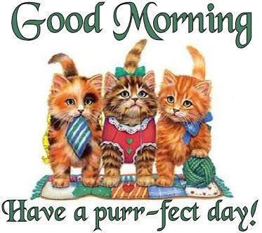 Good Morning - Have A Purrfect Day !-wg018150