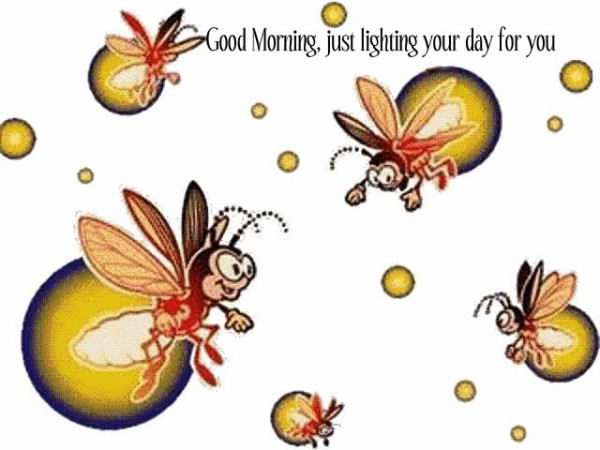 Good Morning - Just Lighting Your Day-wg0180446