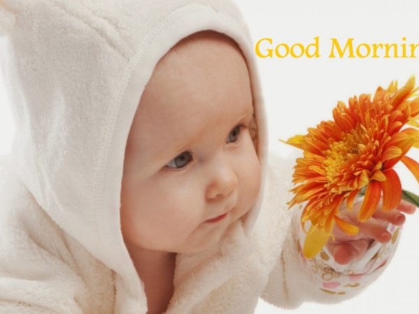 Good Morning - Little Baby-wg16197