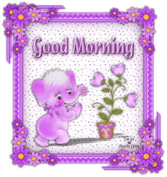 Good Morning - Little Elephant-wg0180462