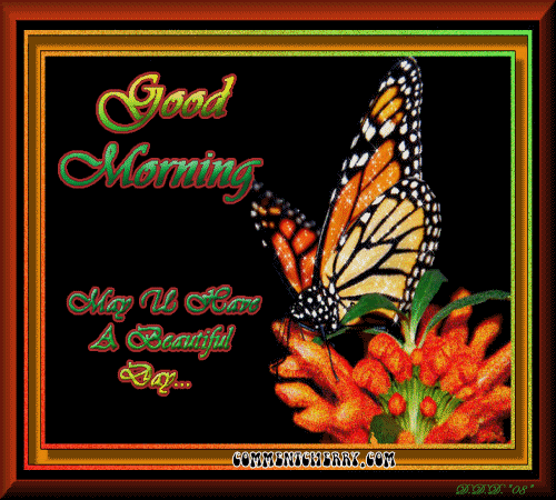 Good Morning May U Have A Beautiful Day !-wg018232