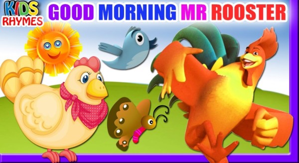 Good Morning Mr Rooster-wg034258