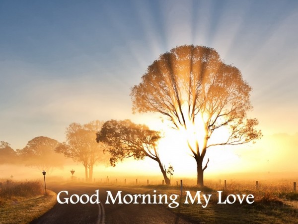 Good Morning My Love - Sunny Day-wg16273
