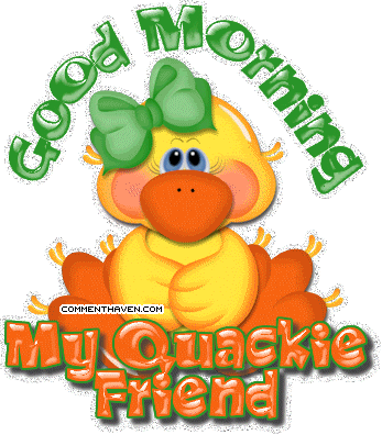 Good Morning - My Quackie Friend-wg0180476