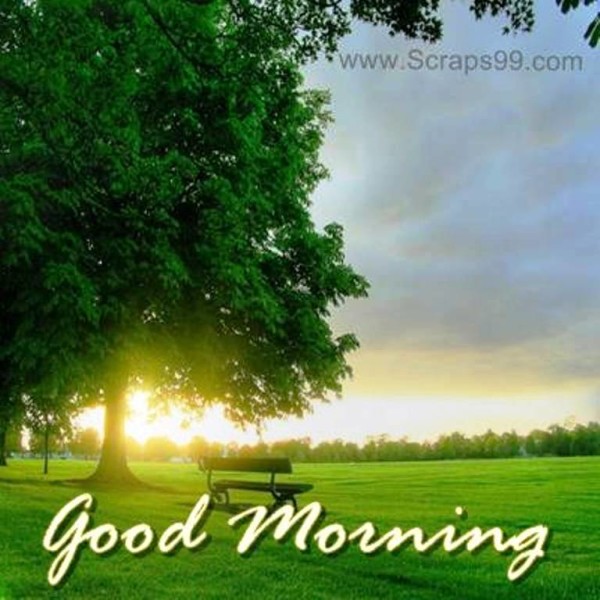 Good Morning - Nature-wg023154