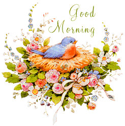 Good Morning - Nest Glitter-wg018181