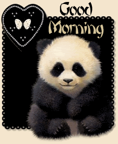 Good Morning - Panda Image-wg018184