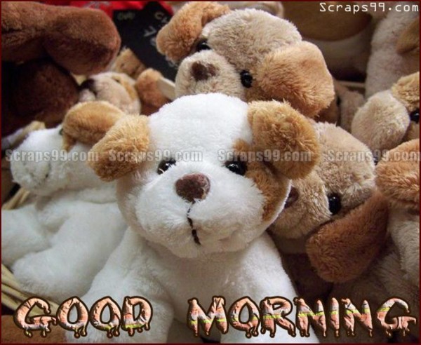 Good Morning - Pupies-wg034235