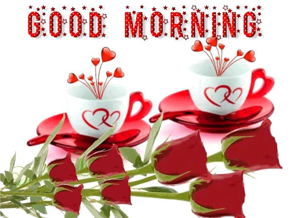 Good Morning  - Red Roses-wg11222