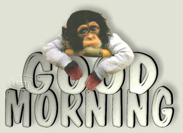 Good Morning - Sad Monkey-wg0180527