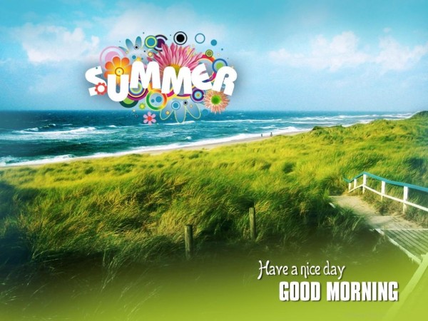 Good Morning Summer-wg16277