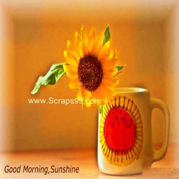 Good Morning - My Sunshine-wg023141