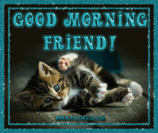Good Morning Sweet Friend !-wg0180712