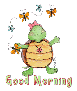Good Morning - Tortoise-wg0180616
