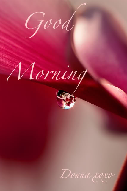 Good Morning - Water Drop-wg0180620