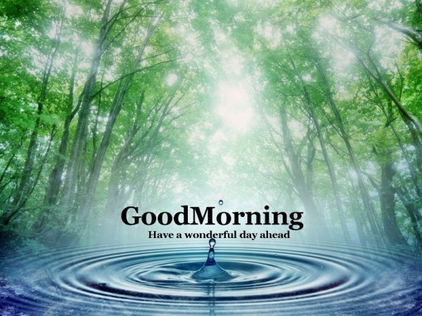 Good Morning - Water-wg16235