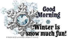 Good Morning Winter  Is Snow Much Fun !-wg0180729