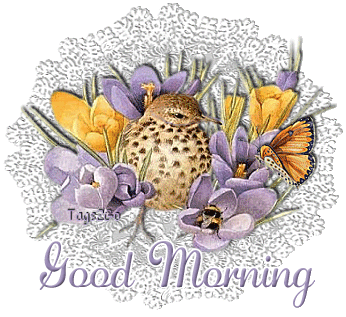 Good Morning With Bird Animation - Good Morning Wishes & Images