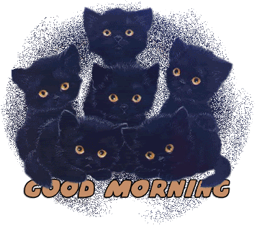 Good Morning With Black Cats-wg0180741