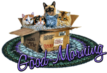Good Morning With Cats-wg018251
