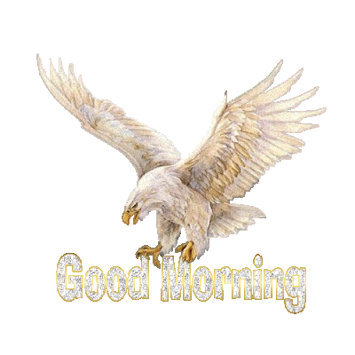 Good Morning With Eagle !!-wg0180755
