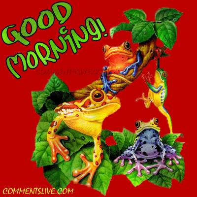 Good Morning With Lightning Frog-wg0180770