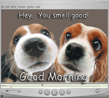 Good Morning - You Smell Good-wg018216