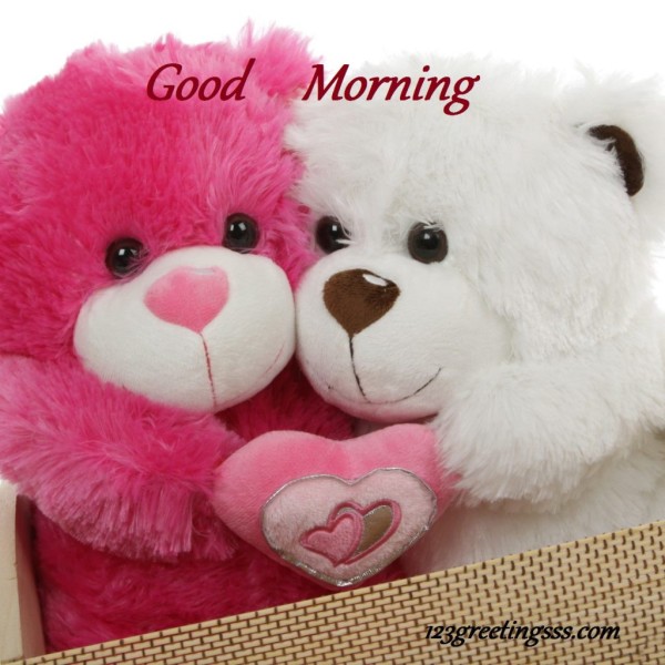 Good Morning - Cute Teddy Image-wg03404