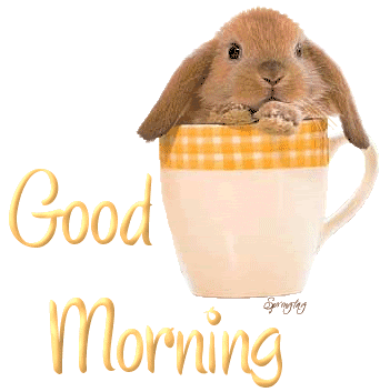 Good Morning – Little Mouse Smelling