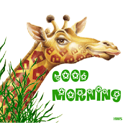 Good Morning- Giraffe-wg11310