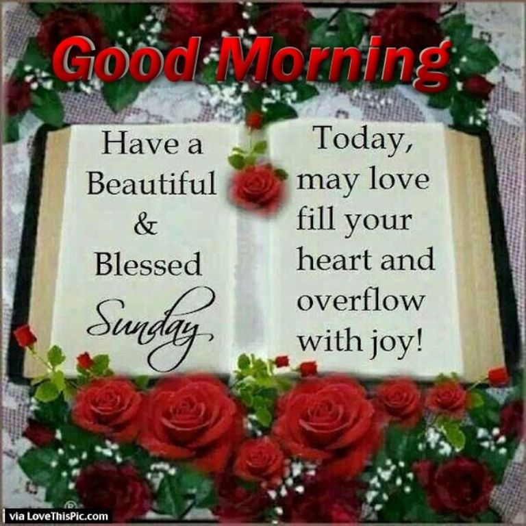 Good Morning Have A Blessed Sunday My Dear