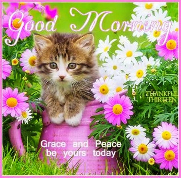 Grace And Peace Be Your Today-  Good Morning-wg023189