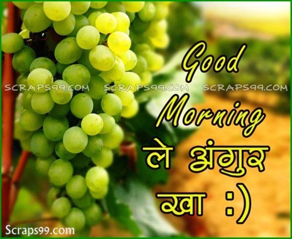 Grapes - Good Morning-wg023190