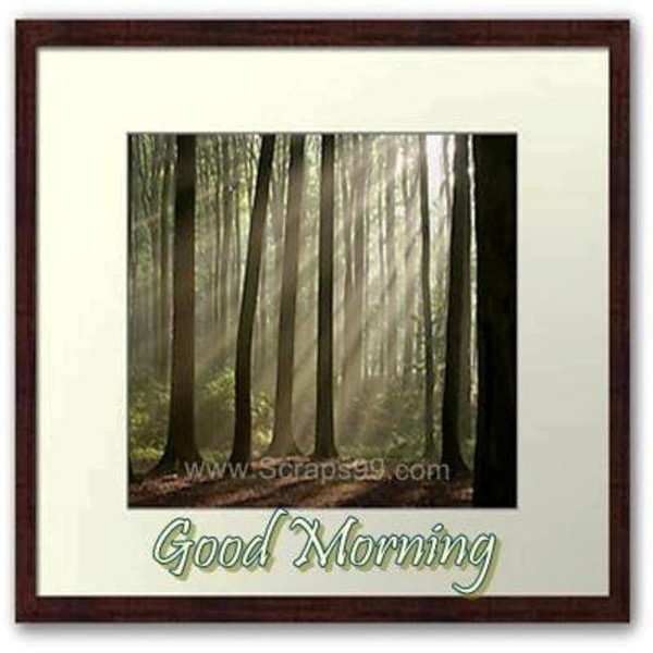 Green Trees -  Good Morning-wg023195