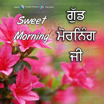 Gud Morning Ji - Pinjabi-wg16304