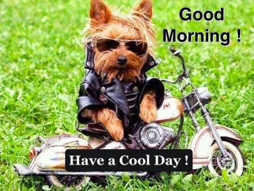 Have A Cool Morning-wg034119