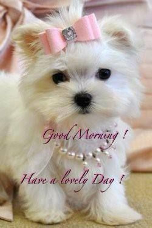 Have A Lovely Day-wg034122