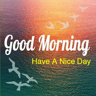 HAve A Nice Day - Good Morning-wg034125