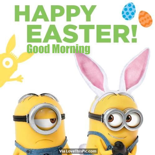 Happy Easter - Good Morning-wg11394
