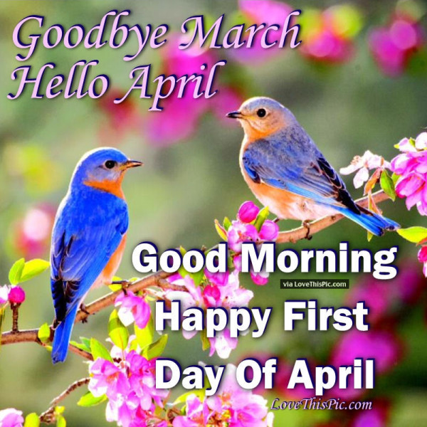 Happy First Day Of April- Good Morning-wg11396