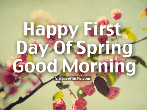 Happy First Day  Of Spring-wg11395