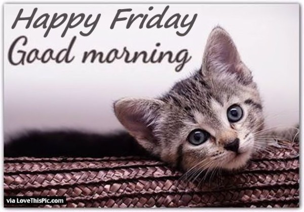 Happy Friday - Good Morning-wg11398