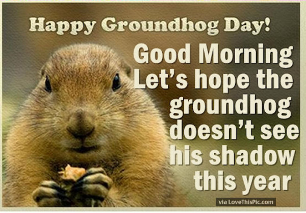 Happy Groundhog Day-wg11407