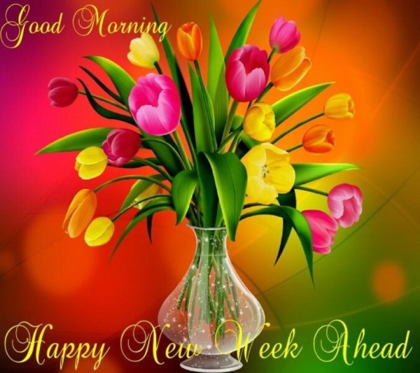 Happy New Week Ahead-wg034285