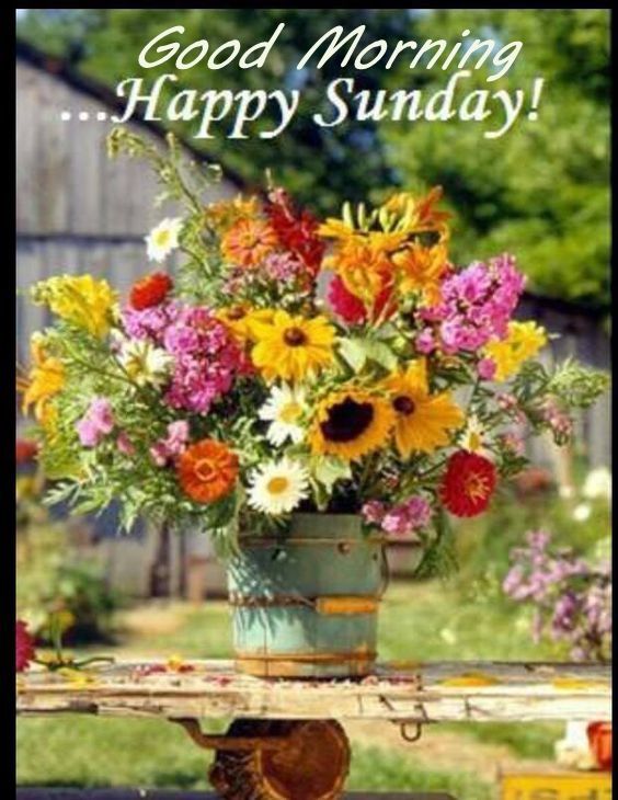 Happy Sunday – Good Morning